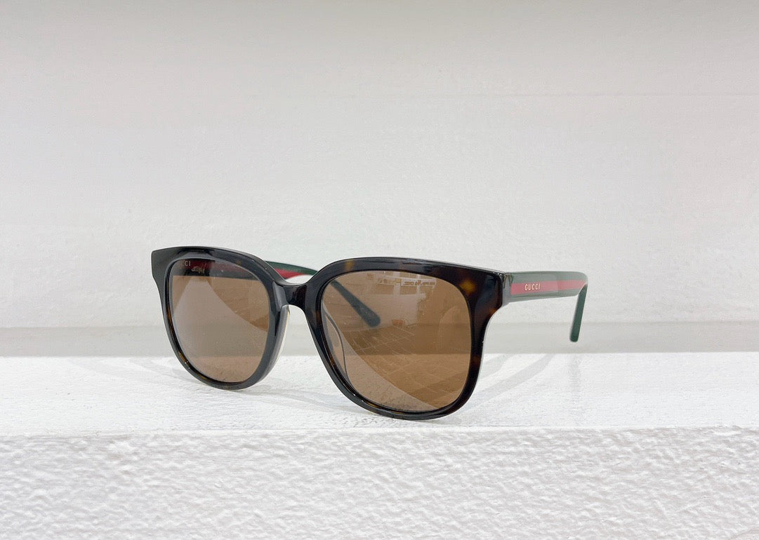 Black and Brown Sunglass