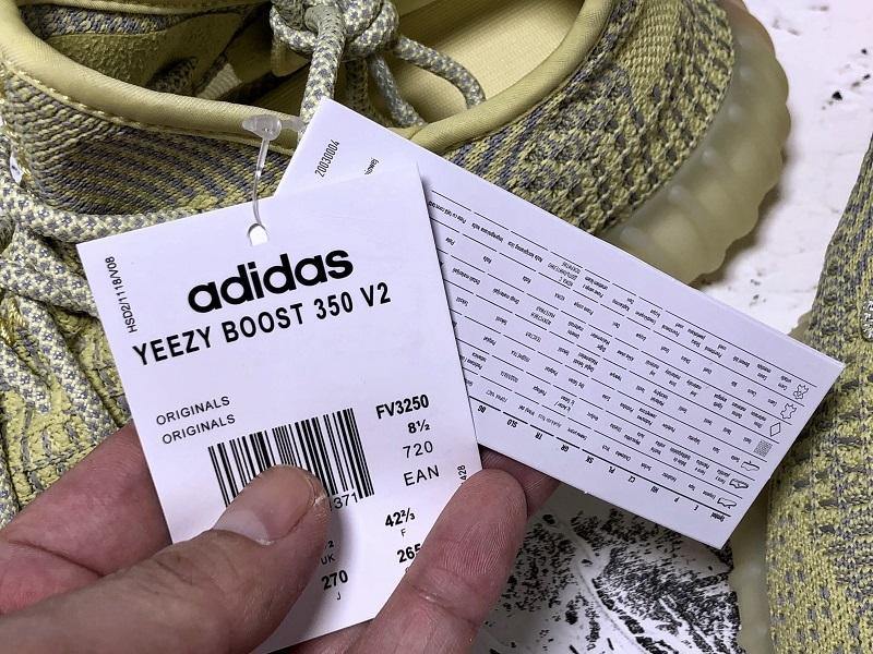 Adidas YEEZY 350V2 ANTLIA - Topmodareps